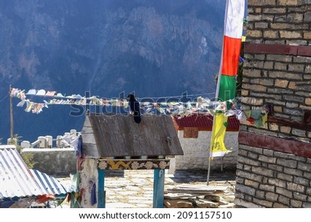 A black crow sitting on a wooden roof of a gate in a small village of Ghyaru high up the Himalayas mountains in Nepal. Huge mountains in the background and Tibetan flags flapping in the wind.