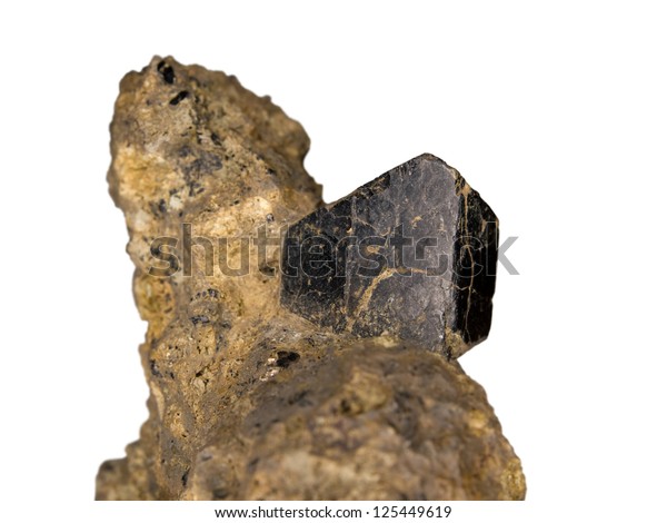 Black crystal\
of augite on volcanic rock\
matrix