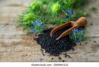 Black cumin seeds and flowers. Selective focus. Nature.