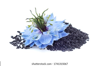 Black cumin seeds with nigella sativa flower on white background - Shutterstock ID 1741315067