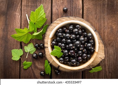 Black Currant