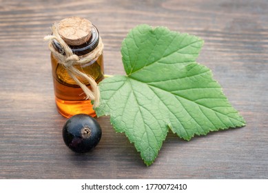 Black Currant Berry Essential Oil On The Wooden Garden Table Background.