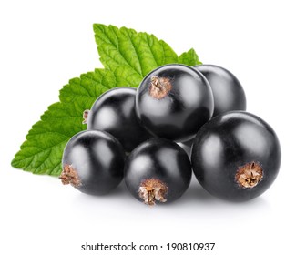 black currant berry isolated on white