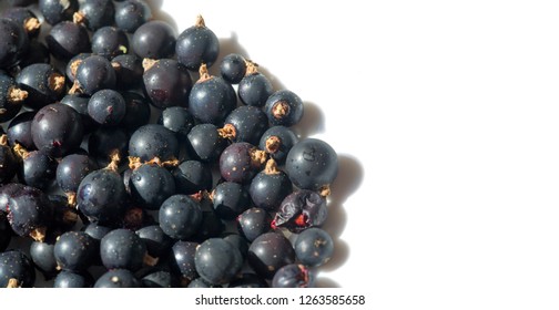 Black Currant, Blackcurrant, Blackberry. Vitamin C And Polyphenol Phytochemicals.  They Are Used To Make Jams, Jellies And Syrups And Are Grown Commercially For The Juice Market.