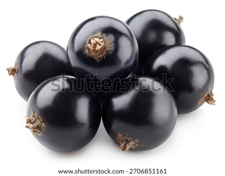Black currant Clipping Path. Currant macro photo. Black currant isolated on white background.