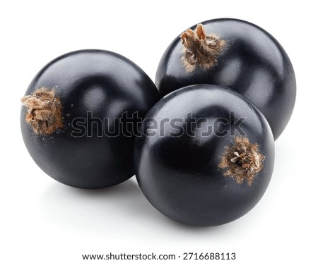 Black currant Clipping Path. Currant macro photo. Black currant isolated on white background.