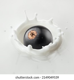 black Currant falls into milk, yoghurt, sour cream, Splash