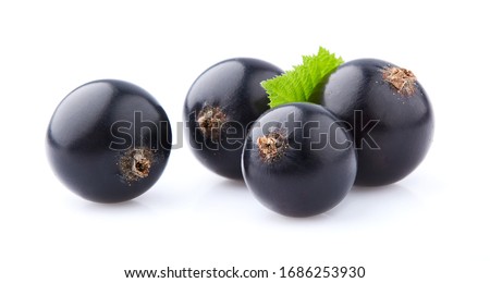Black currant fruit with leaf isolated on white background