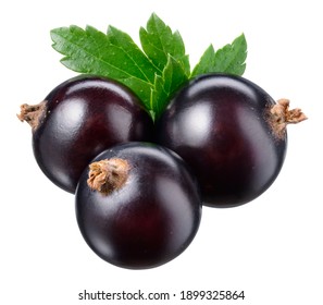 Black currant isolate. Currant black berries isolated on white background with clipping path. Black currant set with full depth of field.
