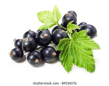 Black Currant. Isolated.