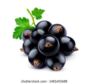 Black currant isolated on white background with clipping path, bunch of ripe juicy berries of blackcurrant with fresh leaves