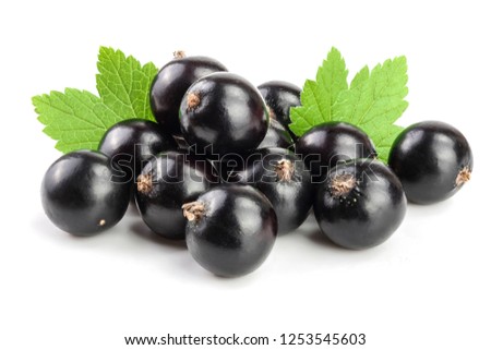 black currant with leaf isolated on white background