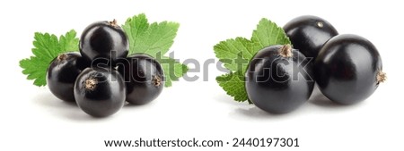 black currant with leaf isolated on white background