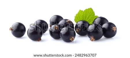 Black currant with leaf isolated on white background