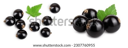 black currant with leaves isolated on white background . Top view. Flat lay pattern