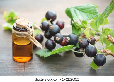 Black Currant Oil And Green Leaves On A Wooden Table Background. Herbal Medicine Concept.