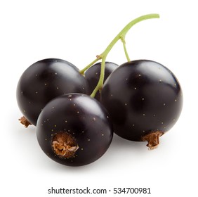 Black currants. Ripe juicy berries of black currant isolated on white background, with clipping path
