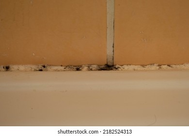 Black Dirt, Fungus, Mould In The Bathroom Shower Cubicle,high Humidity, Dirty Bathroom After Showering, Black Spots Caused By High Humidity, Cleaning Of Bathroom And Shower Cabin