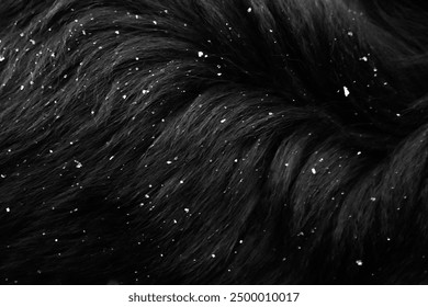 Black dog fur with white falling snowflakes. Texture Background Wool Creative Concept Design Copy Space Nature Art Banner Flyer Poster Close Up Illustration Modern - Powered by Shutterstock