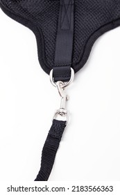 Black dog harness with textile leash for dogs or cats on white background. Ammunition for dogs and cats. Carbine closeup