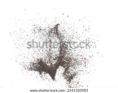 Black dried leave Tea explode. Small Fine size tea leaf flying explosion, Abstract cloud fly. Brown colored Teas splash throwing in Air. White background Isolated high speed shutter, throwing freeze