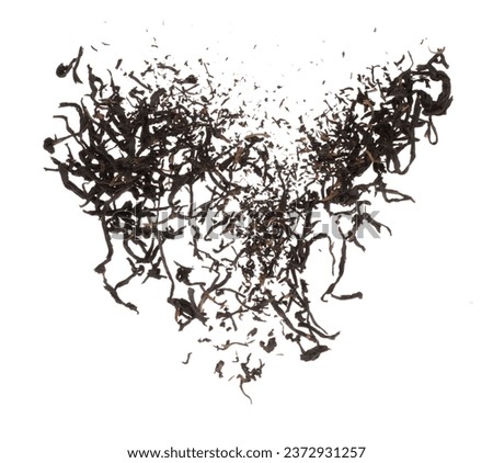 Black dried leave Tea explode. Big size tea leaf fall down, Abstract cloud fly. Brown green colored Teas splash throwing in Air. White background Isolated throwing freeze motion