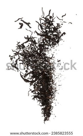 Black dried leave Tea explode. Big size tea leaf fall down, Abstract cloud fly. Brown green colored Teas splash throwing in Air. White background Isolated throwing freeze motion