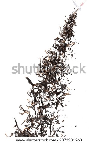 Black dried leave Tea pouring. Big size tea leaf fall down, Abstract cloud fly. Brown black green colored Teas splash throwing in Air. White background Isolated throwing freeze motion
