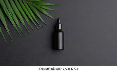 Black Dropper Bottle Mockup And Palm Leaf On Black Background. Flat Lay, Top View. Herbal Cosmetic, Natural Organic Beauty Product, Essential Oil Packaging Design. 