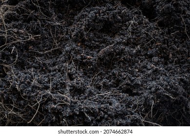 black earth background. natural soil texture. Pile heap of soil humus backdrop.