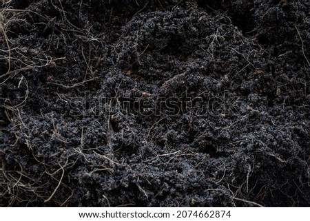 black earth background. natural soil texture. Pile heap of soil humus backdrop. Stok fotoğraf © 