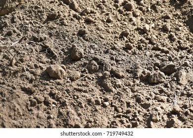 Black Earth Humus Soil Stock Photo 719749432 | Shutterstock