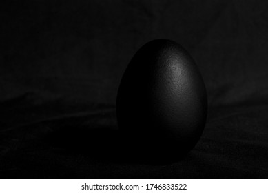 Black egg in black background