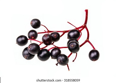Schwarze Holunderbeeren, frische Früchte einzeln
