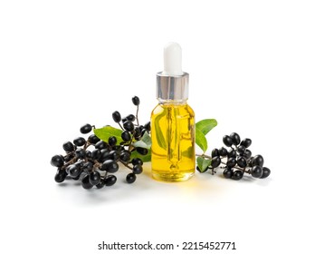 Black Elderberry Oil Isolated. Sambucus Berries Essential Oil, Danewort Fruits Extract, Elderberry Extraction, Wild Organic Elder Berry Infusion On White Background