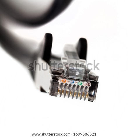 Black ethernet patch cable end connector plug macro, closeup. Rj 45, 8p8c, simple internet connection hardware, data transfer abstract concept. White background, individual wires visible