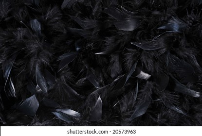 A Black Feather Abstract Background