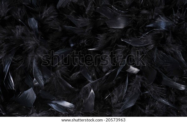 Black Feather Abstract Background Stock Photo (Edit Now) 20573963