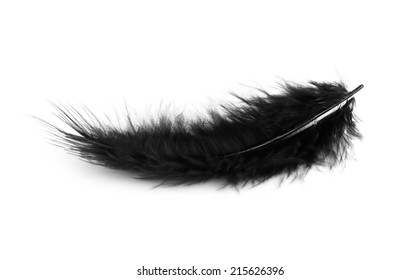 Black Feather Isolated On White