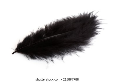 Single Black Feather Isolated On White Stock Illustration 16560811