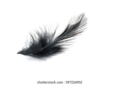 Black Feather Isolated On White Background