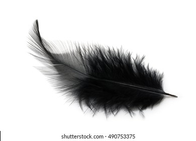 Black Feather Isolated On White Background