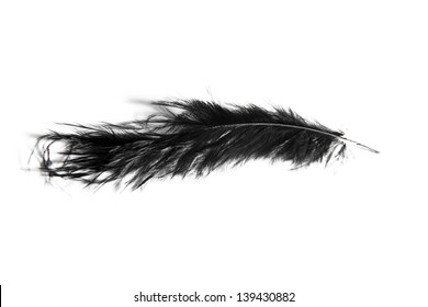 Black Feather On White Background