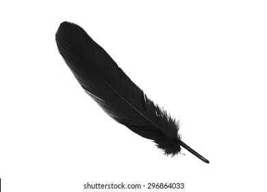 Black Feather On White Background Stock Photo 296864033 | Shutterstock