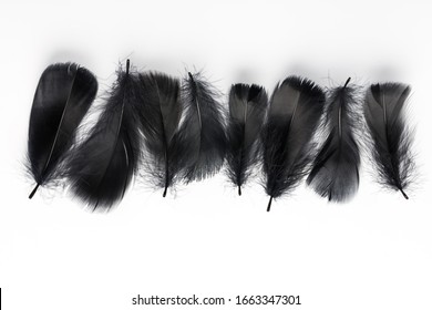 Feather Images, Stock Photos & Vectors | Shutterstock