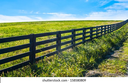 Black Fence