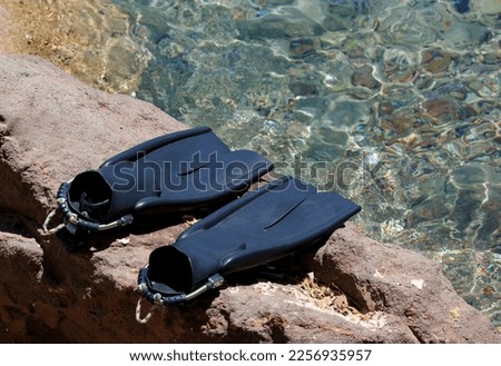 Black flippers splashes near the shore. Diving flipper, swimming equipment. Summer holidays, fun, exploring the sea world concept. Fins for snorkeling lie on a stone near the ocean shore. Two flippers