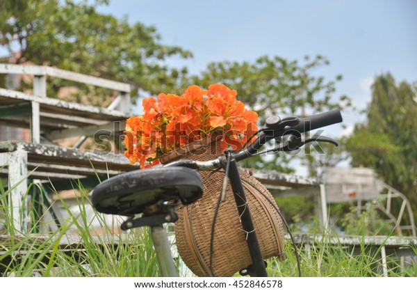Black Folding bike in the field with orange flower
in the basket