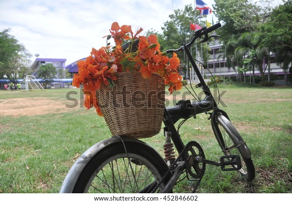 Black Folding bike in the field with orange flower\
in the basket