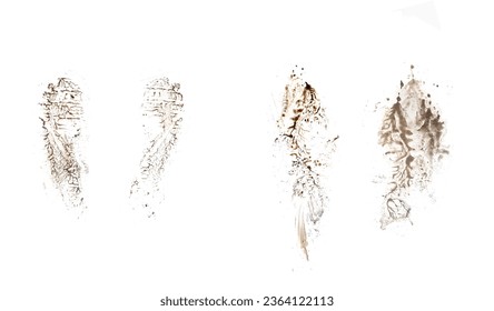 Black footprint isolated on white background, top view